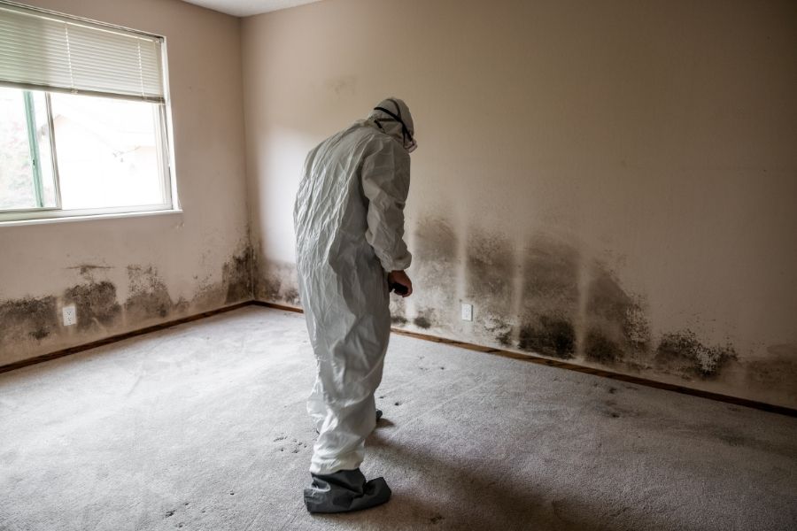 Mold remediation specialist treating affected area
